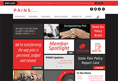 PAINS-website-400x276