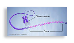 dna gene nih 200x96-shadow