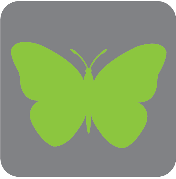 butterfly icon-01