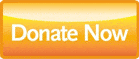 DonateNow Orange