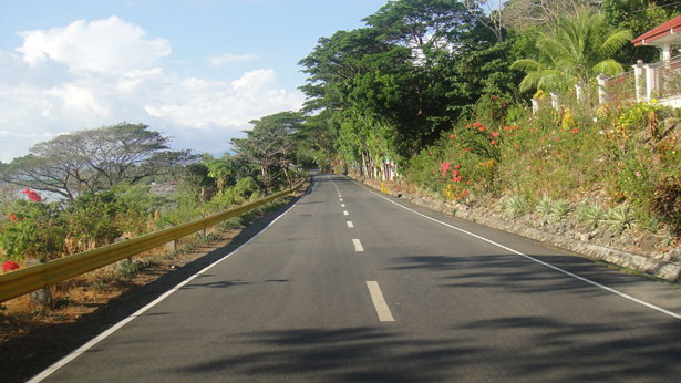 stretch of wooded highway